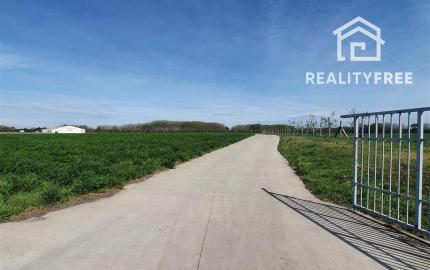 Na predaj: pozemok  20000 m2 , Blatná na Ostrove , okr. Dunajská Streda