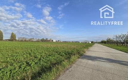 Na predaj: pozemok  20000 m2 , Blatná na Ostrove , okr. Dunajská Streda