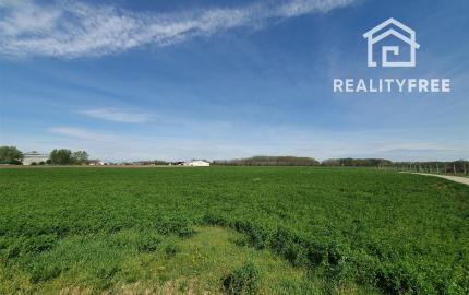 Na predaj: pozemok  20000 m2 , Blatná na Ostrove , okr. Dunajská Streda
