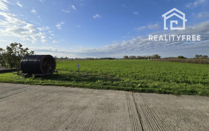 Na predaj: pozemok  20000 m2 , Blatná na Ostrove , okr. Dunajská Streda