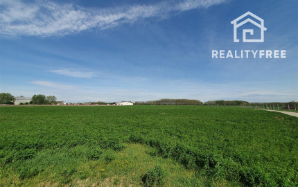 Na predaj: pozemok  20000 m2 , Blatná na Ostrove , okr. Dunajská Streda