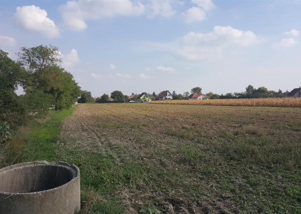 Na predaj pozemok 8046 m2 v  obci Tureň, okres Senec