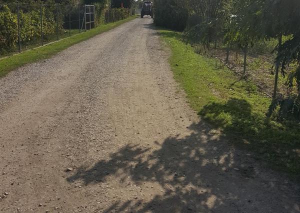 Na predaj pozemok 8046 m2 v  obci Tureň, okres Senec