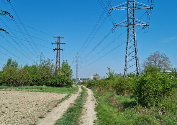 Na predaj 25 árový pozemok Podunajské Biskupice, Bratislava