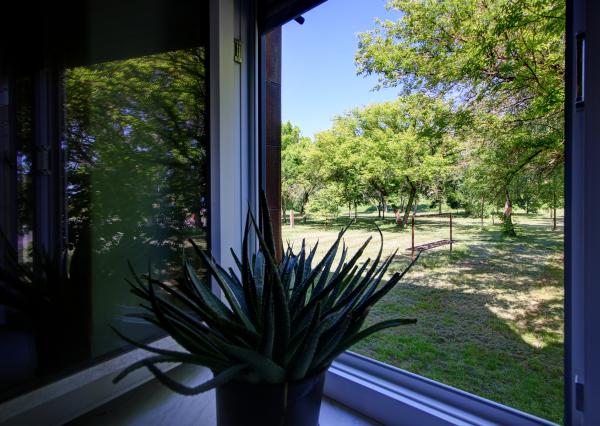 Na predaj priestranný 2i  byt v Komárne na Staničnej ulici