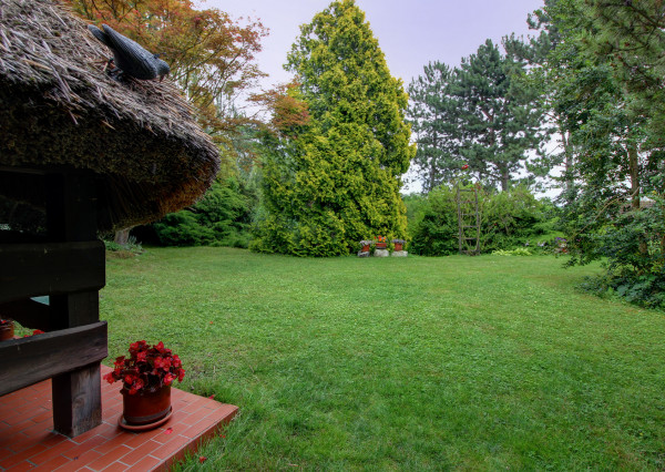 Na predaj chata s vlastným jazerom na 1208 m² pozemku v Trstenej na Ostrove