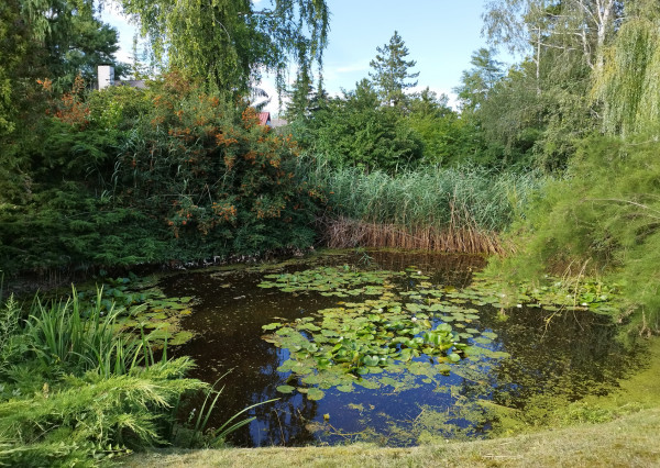 Na predaj chata s vlastným jazerom na 1208 m² pozemku v Trstenej na Ostrove