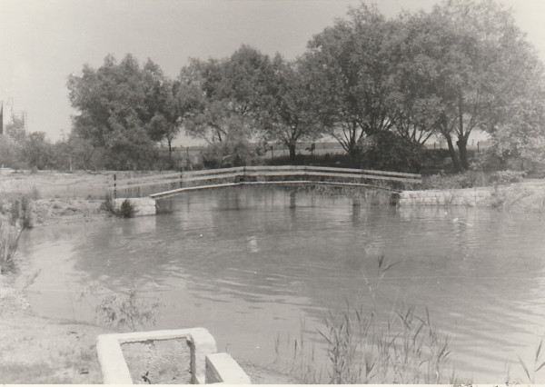 Na predaj chata s vlastným jazerom na 1208 m² pozemku v Trstenej na Ostrove