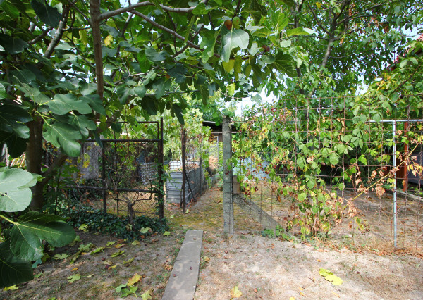 Na predaj záhradná chata na pozemku 531 m² v Šamoríne