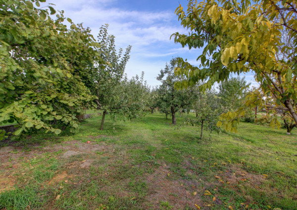 Na predaj: 4i RD, pozemok 1719 m², obec Vojka nad Dunajom