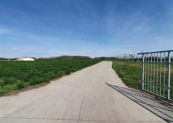 Na predaj: pozemok  20000 m2 , Blatná na Ostrove , okr. Dunajská Streda