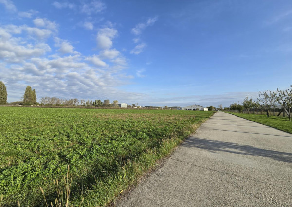 Na predaj: pozemok  20000 m2 , Blatná na Ostrove , okr. Dunajská Streda