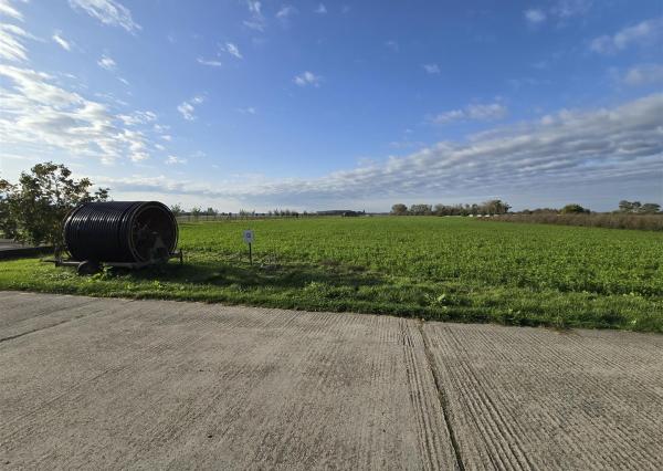 Na predaj: pozemok  20000 m2 , Blatná na Ostrove , okr. Dunajská Streda