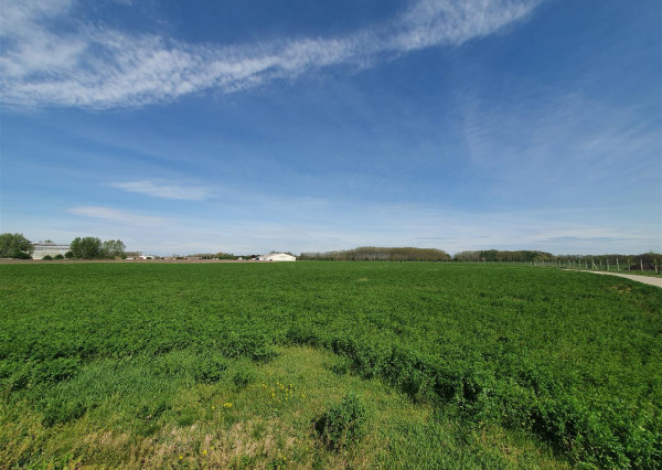 Na predaj: pozemok  20000 m2 , Blatná na Ostrove , okr. Dunajská Streda