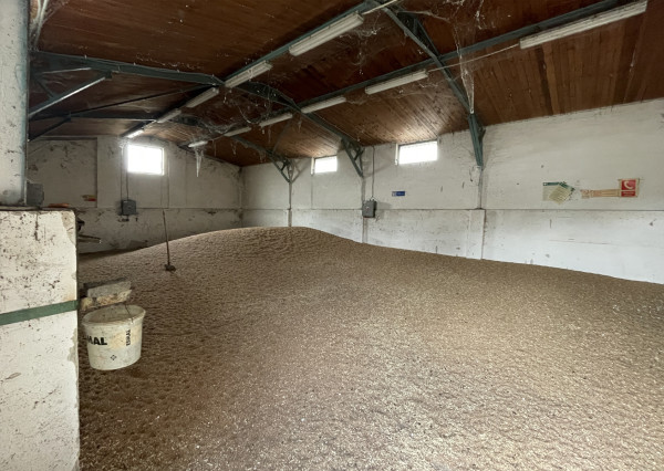 Na predaj rodinný dom na 2174 m² pozemku v obci Nový Život