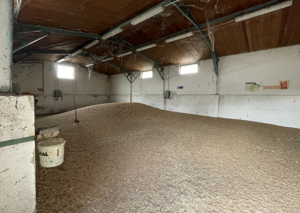 Na prenájom rodinný dom na 2174 m² pozemku v obci Nový Život