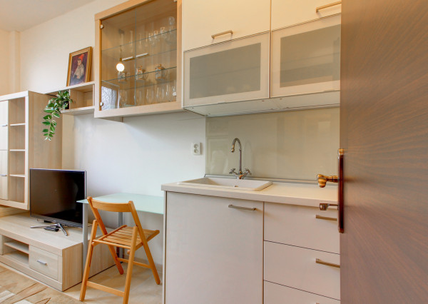 NOVINKA - garsónka, kompletne zariadená  - ROVINKA