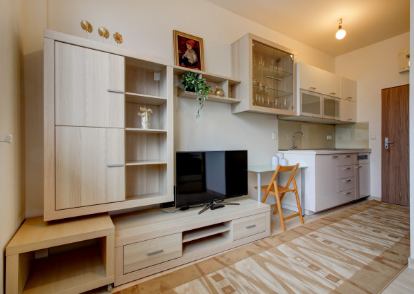 NOVINKA - 1 izbový byt, kompletne zariadený  - ROVINKA