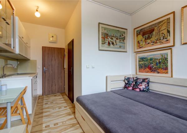 NOVINKA - 1 izbový byt, kompletne zariadený  - ROVINKA