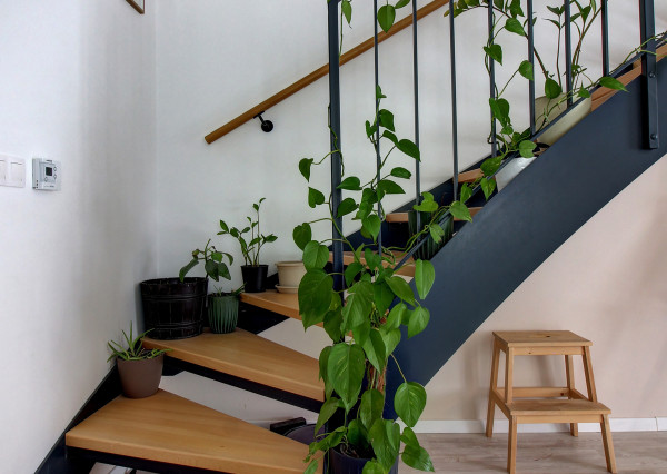 ELEGANTNÝ MEZANÍN SO ZÁHRADOU MILOSLAVOV – ALŽBETIN DVOR