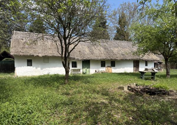 Rodinný dom s rozľahlým investičným pozemok (2 076 m²) pri Dunaji s potenciálom, Gabčíkovo- Dedinské ostrovy