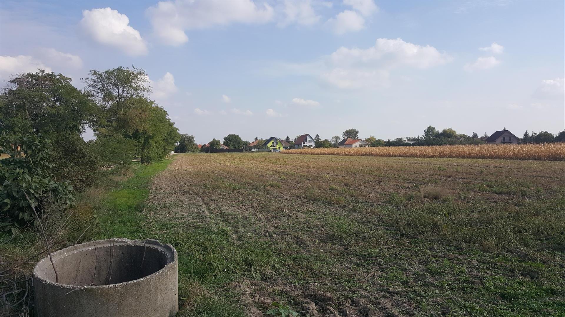 Na predaj pozemok 8046 m2 v  obci Tureň, okres Senec