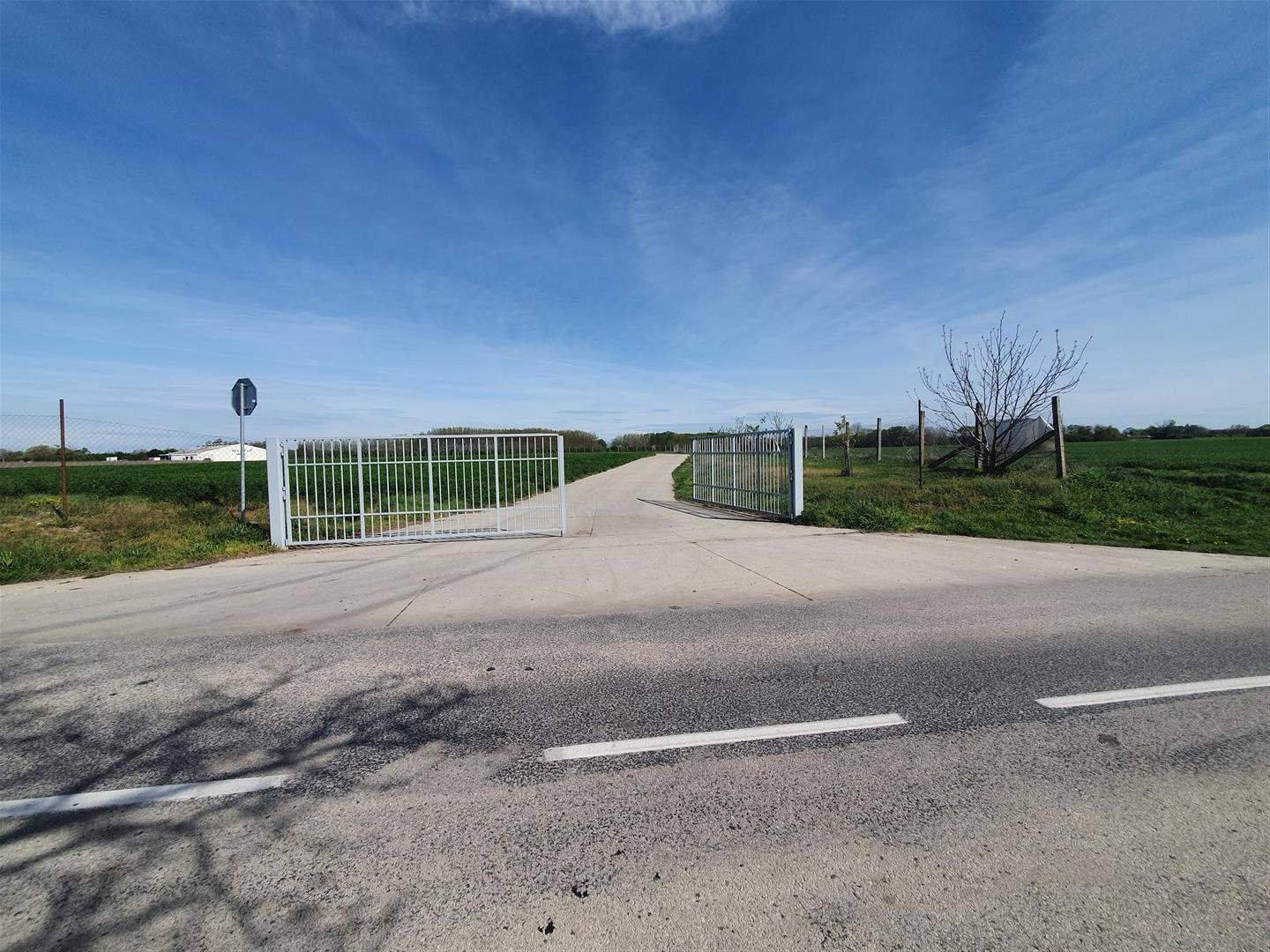 Na predaj: pozemok  20000 m2 , Blatná na Ostrove , okr. Dunajská Streda